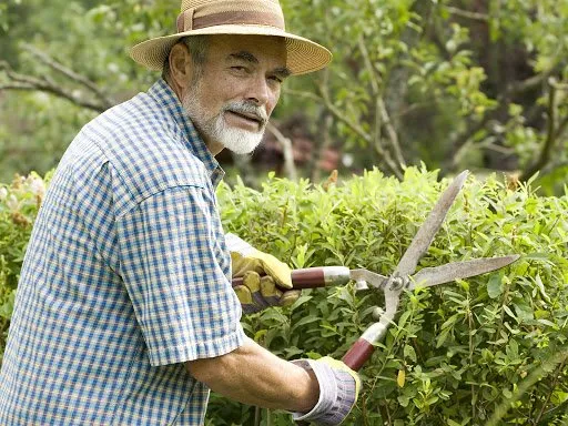 Cuidadores de adulto mayor y finca de recreo también son empleados domésticos